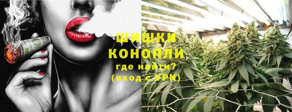 МДПВ Михайлов