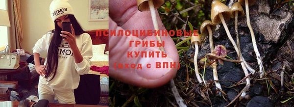 спайс Медногорск