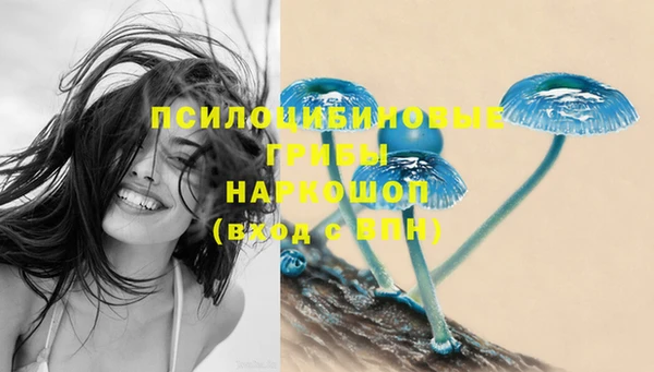mdpv Михайловка