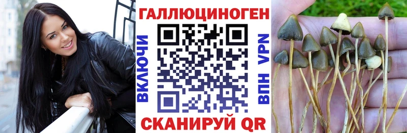 Псилоцибиновые грибы ЛСД  Строитель 