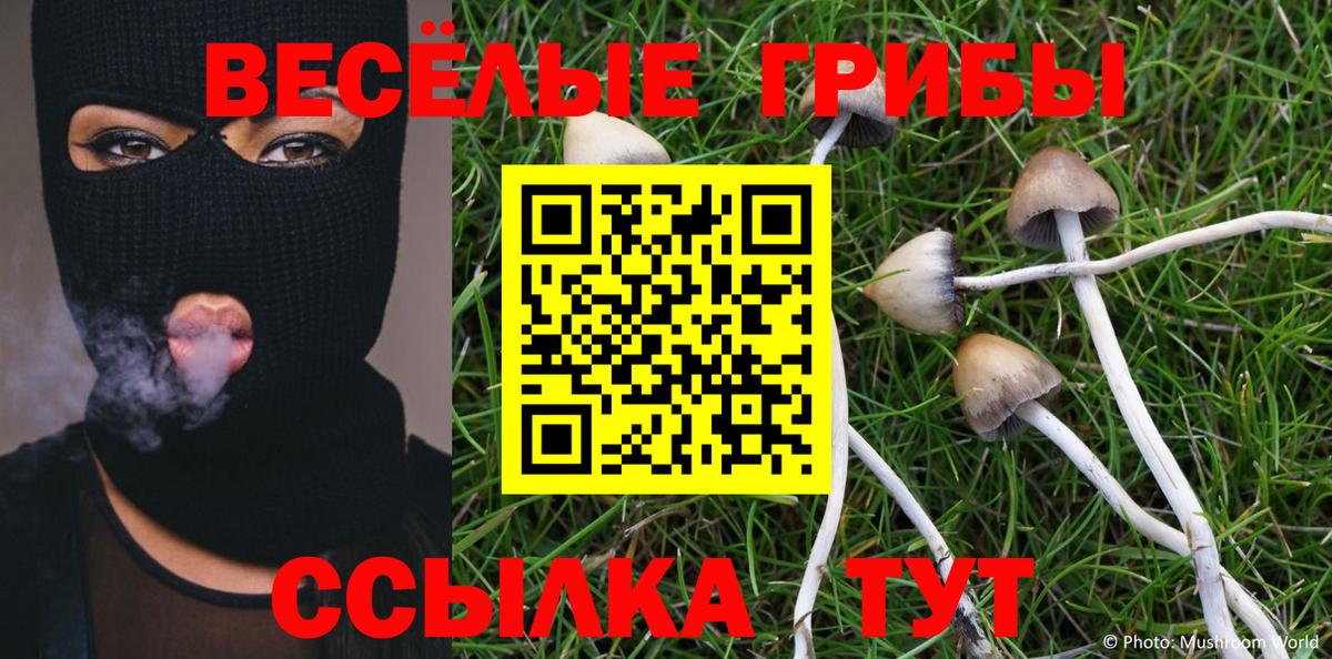 Строитель  Псилоцибиновые грибы Psilocybine cubensis  Вход с VPN 