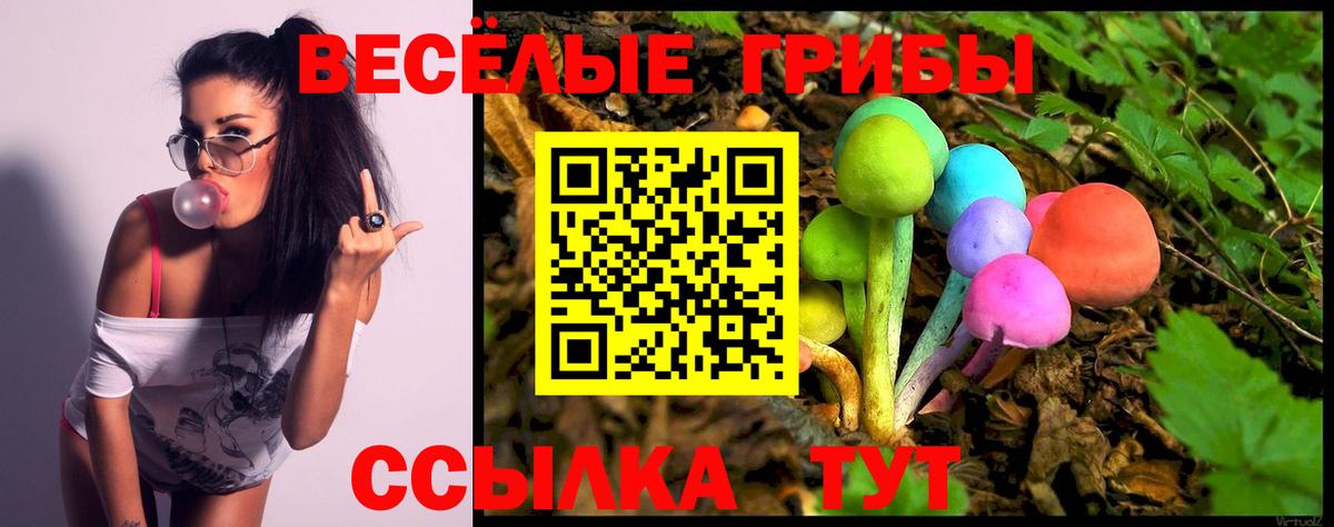 Псилоцибиновые грибы мухоморы Строитель