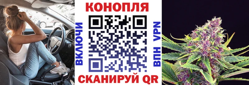 купить наркотики цена  Строитель  Шишки марихуана планчик 